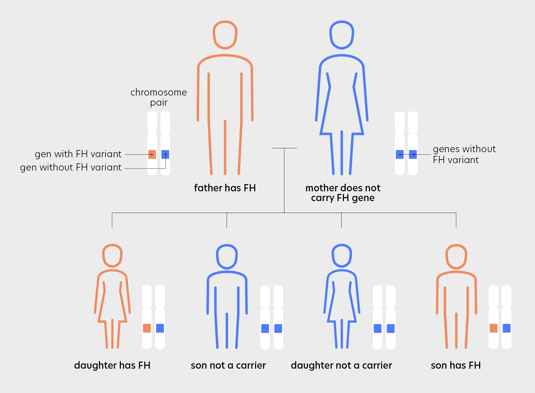 Inheritance pattern familial hypercholesterolemia