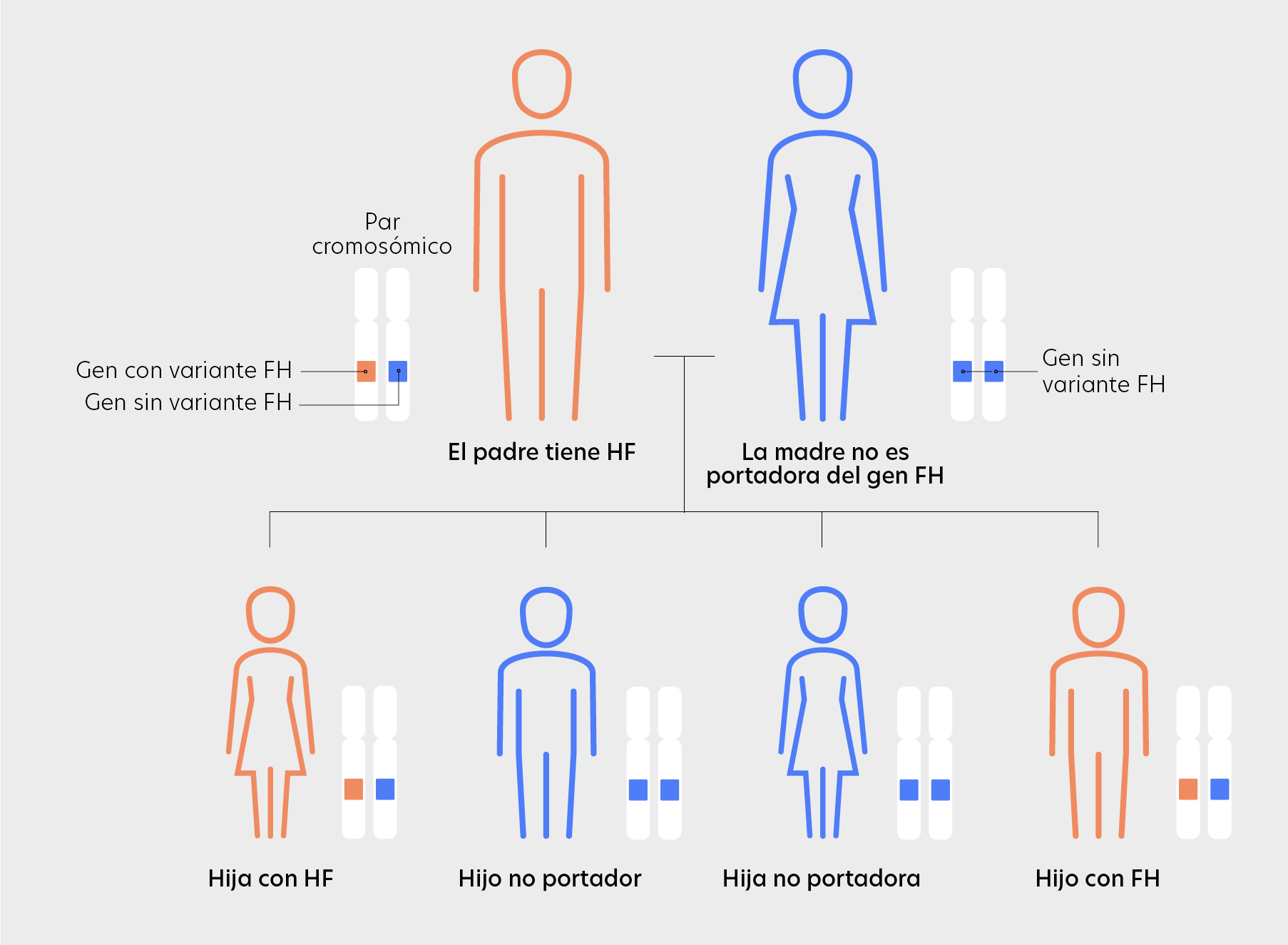 Inheritance pattern familial hypercholesterolemia
