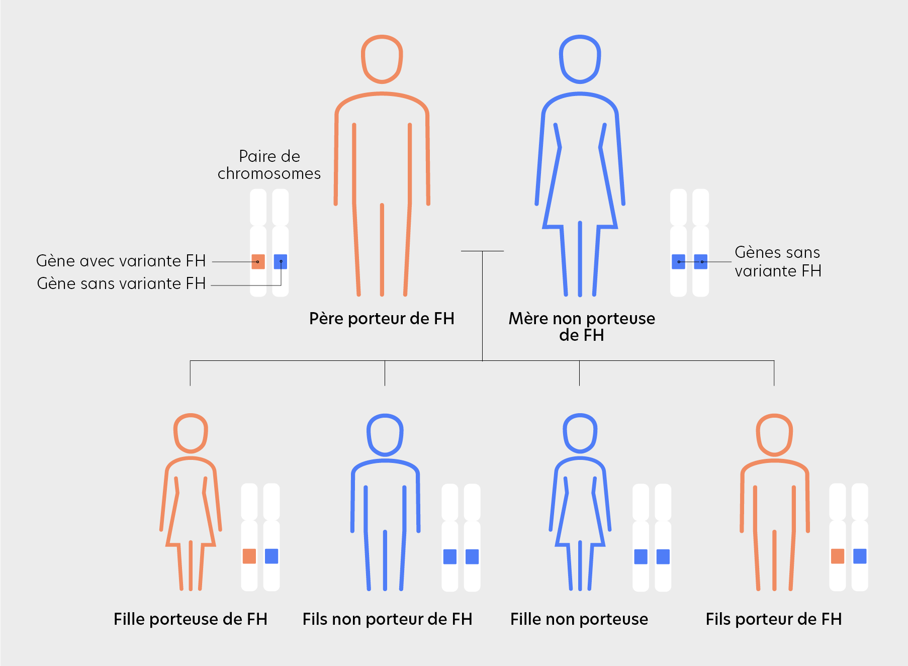 Inheritance pattern familial hypercholesterolemia