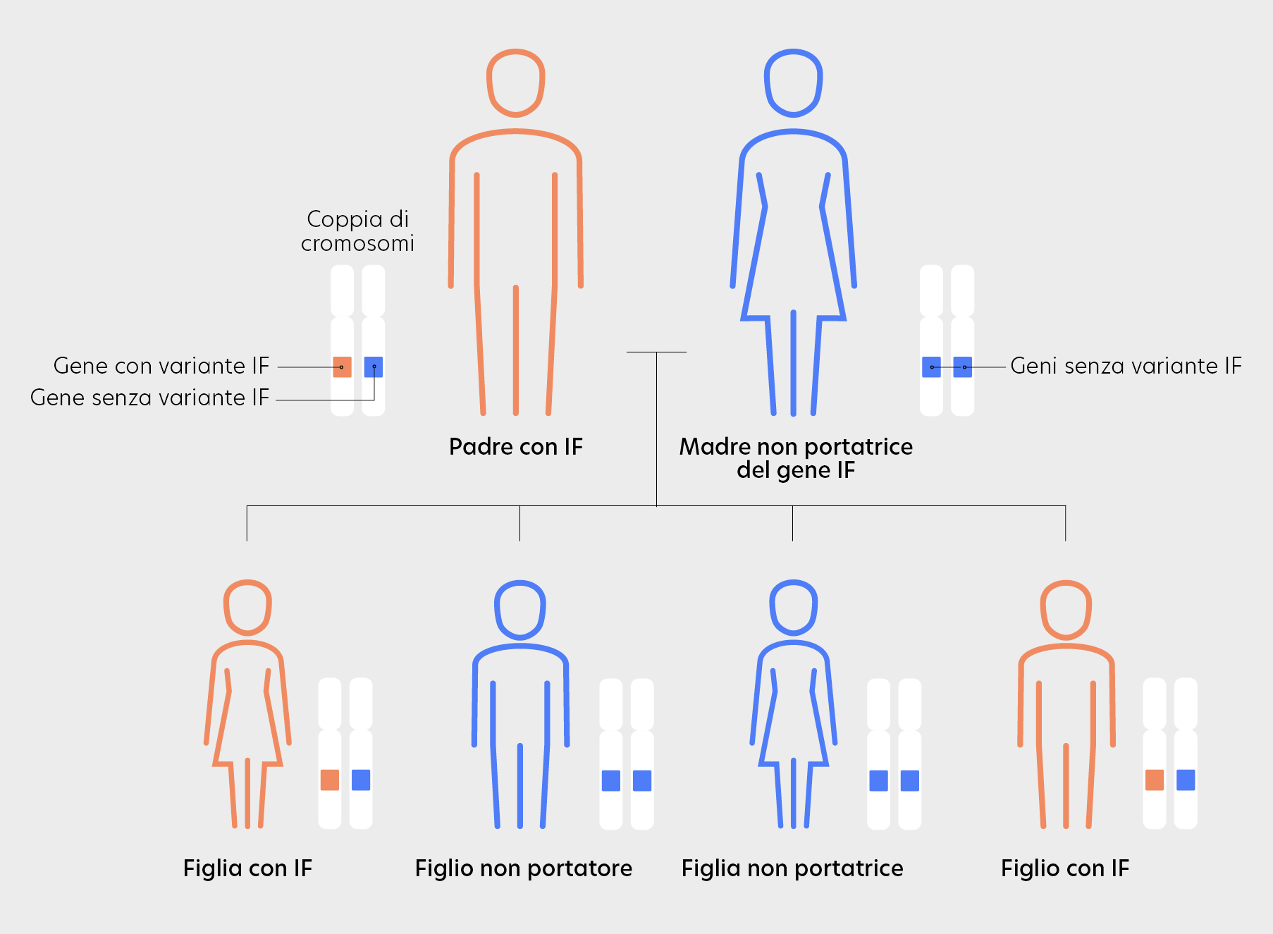 Inheritance pattern familial hypercholesterolemia