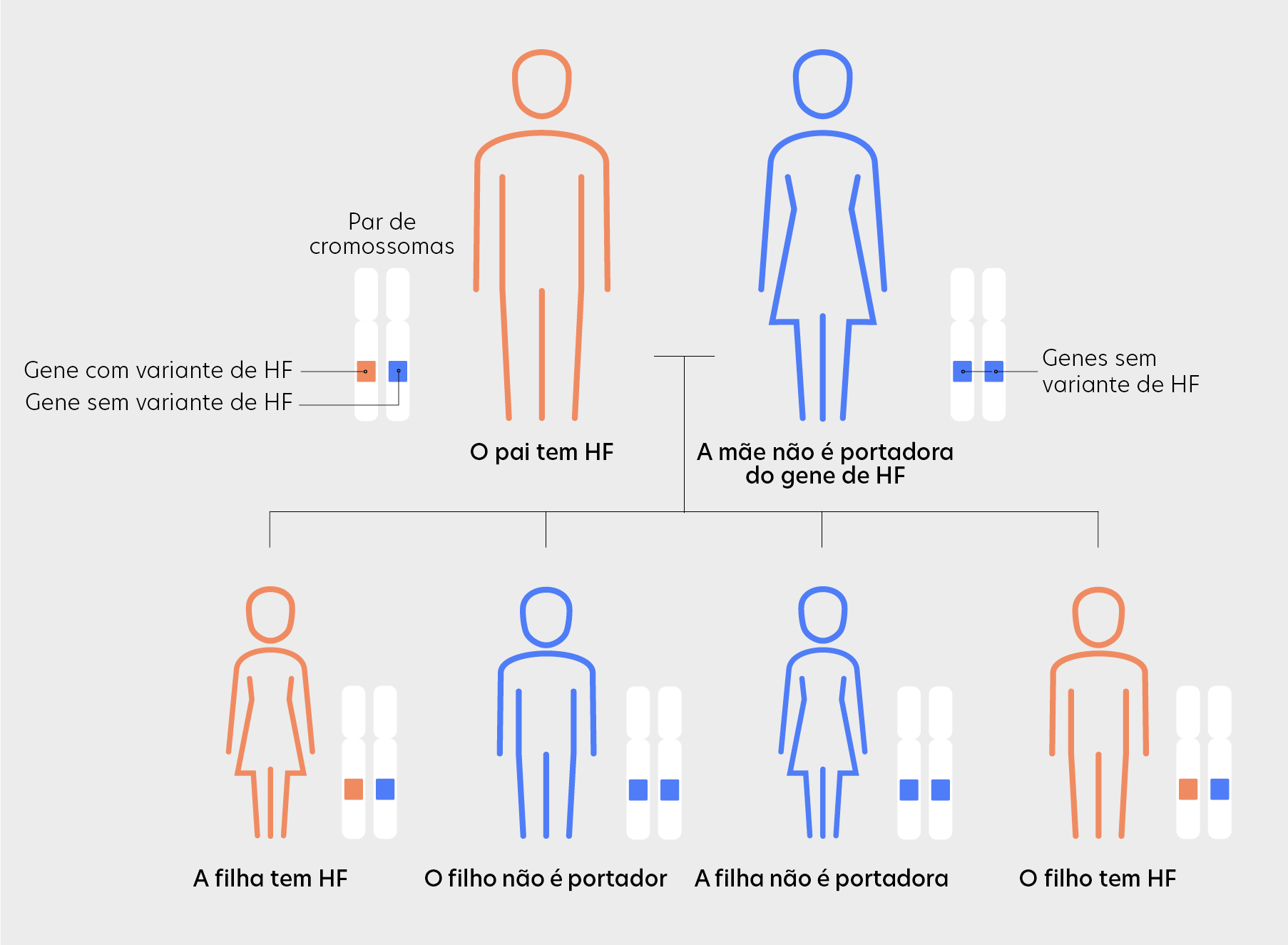 Inheritance pattern familial hypercholesterolemia